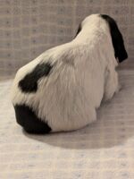 Innocenzo dell'Amarettini (3 Wochen)