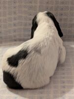 Innocenzo dell'Amarettini (3 Wochen)