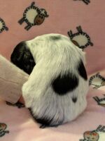 In honorem Tini dell'Amarettini (5 Wochen)